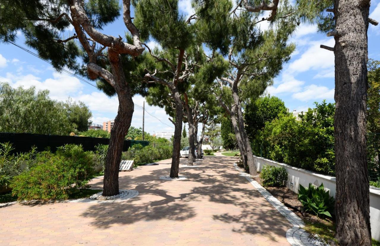 Casa Agapantus Con Piscina Da Giugno Lejlighed Bari Eksteriør billede